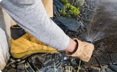 Close-up of automatic sprinkler system installation in residential yard