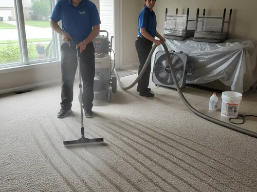 Bellevue, NE Carpet Cleaning