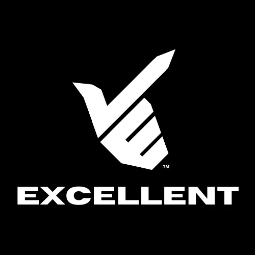 excellent logo