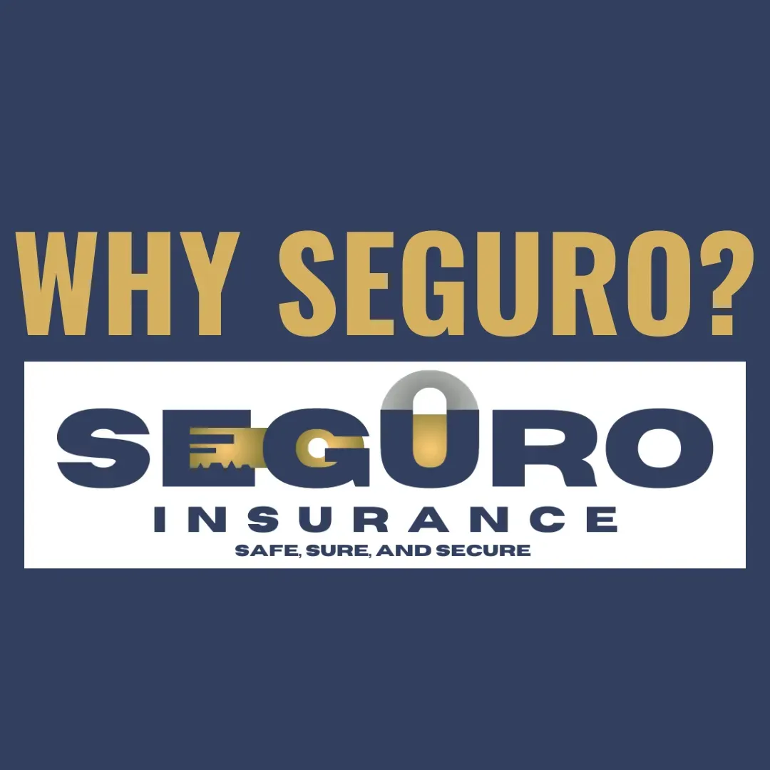 Why Seguro