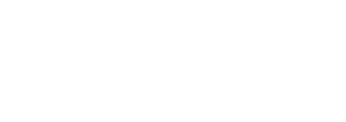 StriveLife OS Logo
