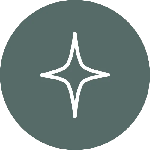 Sparkle icon