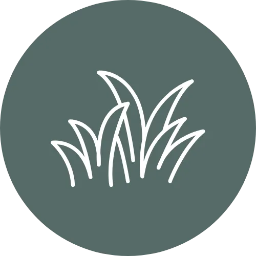 Grass blades icon