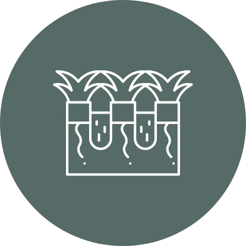 Lawn aeration icon