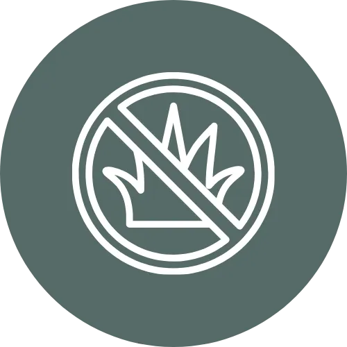 Weed control leaf icon
