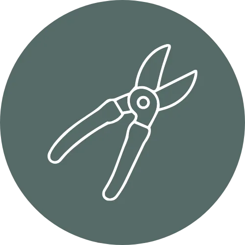 Pruning shears icon