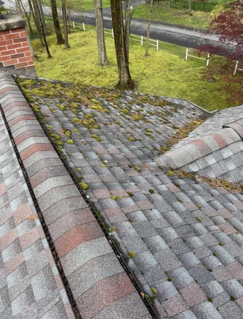 roof cleaning Athens New York