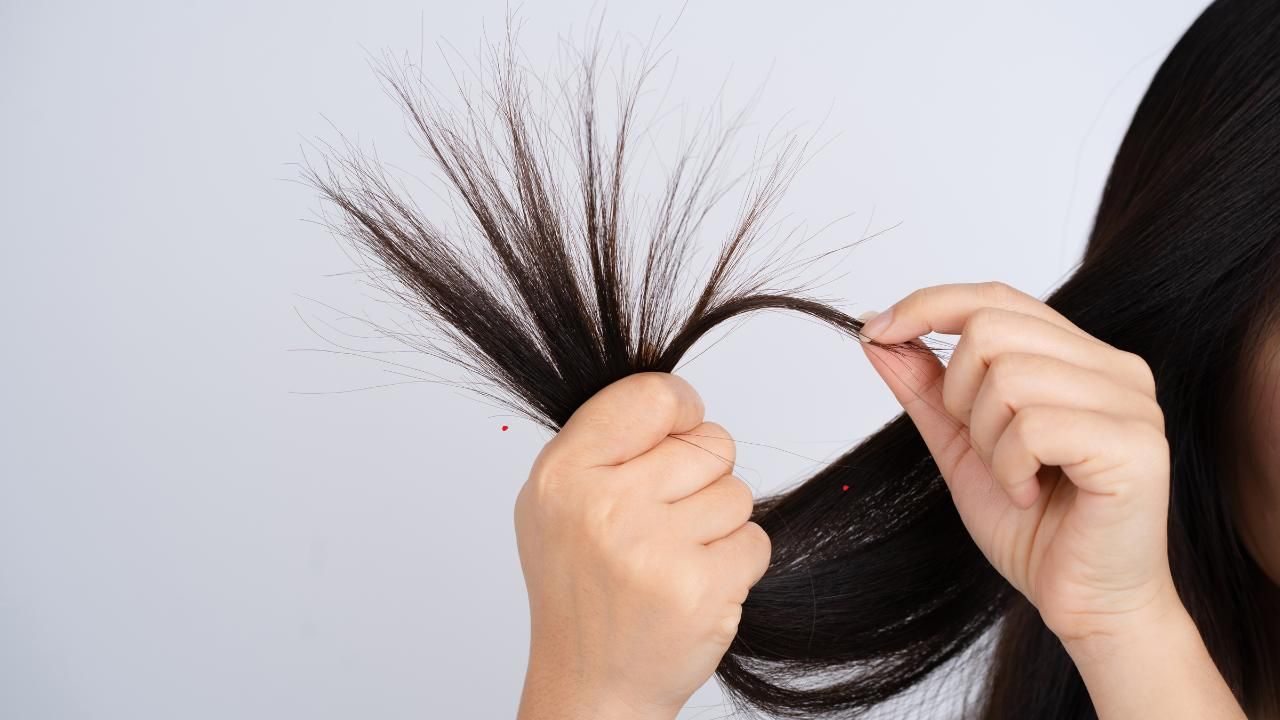 haircut trimming guide