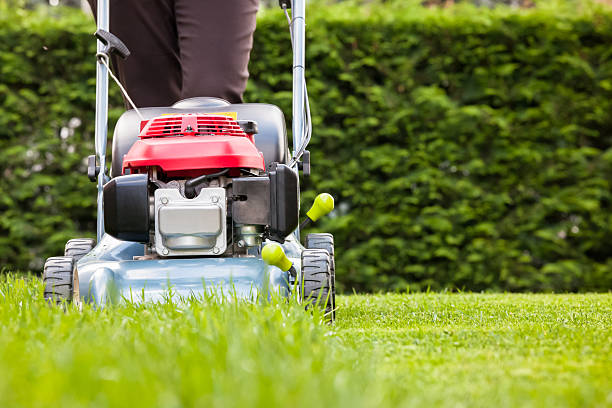 Gardener mowing and maintaining a lawn
