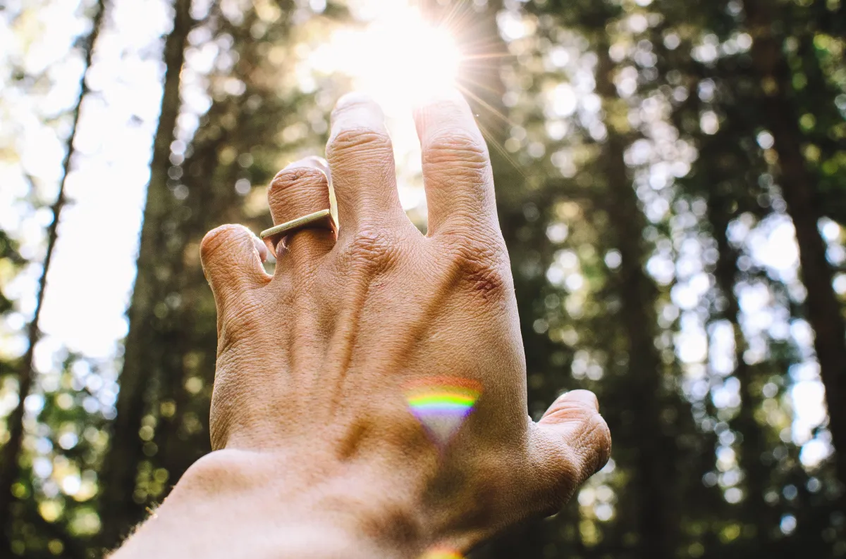 Hand reaching for sunlight through forest trees.