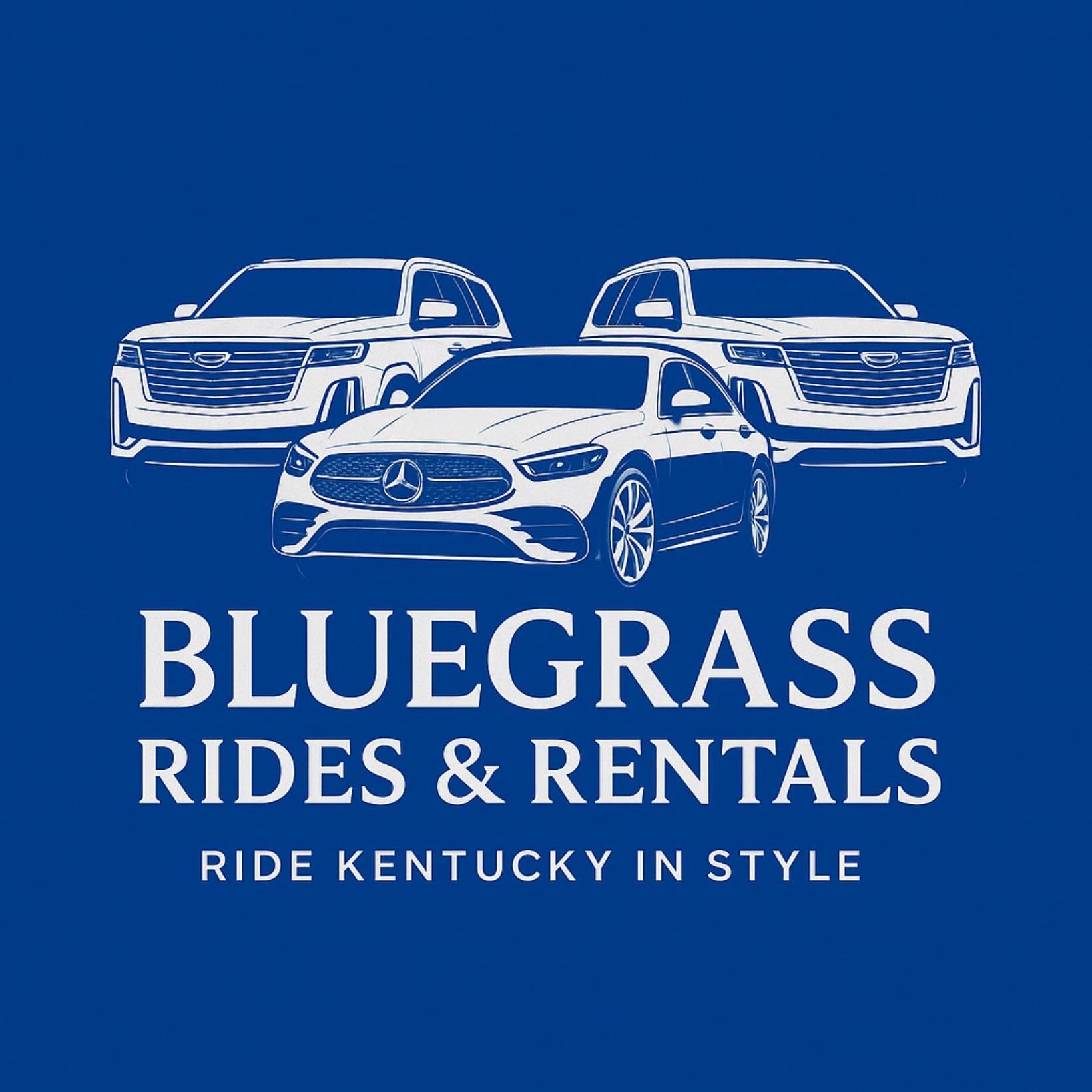 Luxury chauffeur fleet