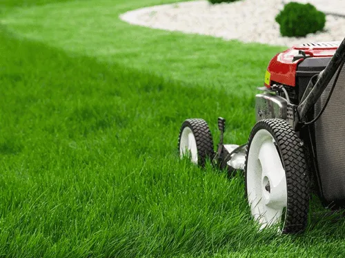 Grass cutting & Maintenance in Detroit