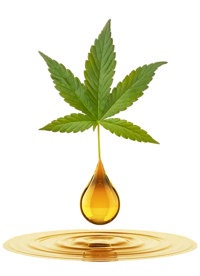 Descubra como a Cannabis Medicinal pode transformar sua qualidade de vida