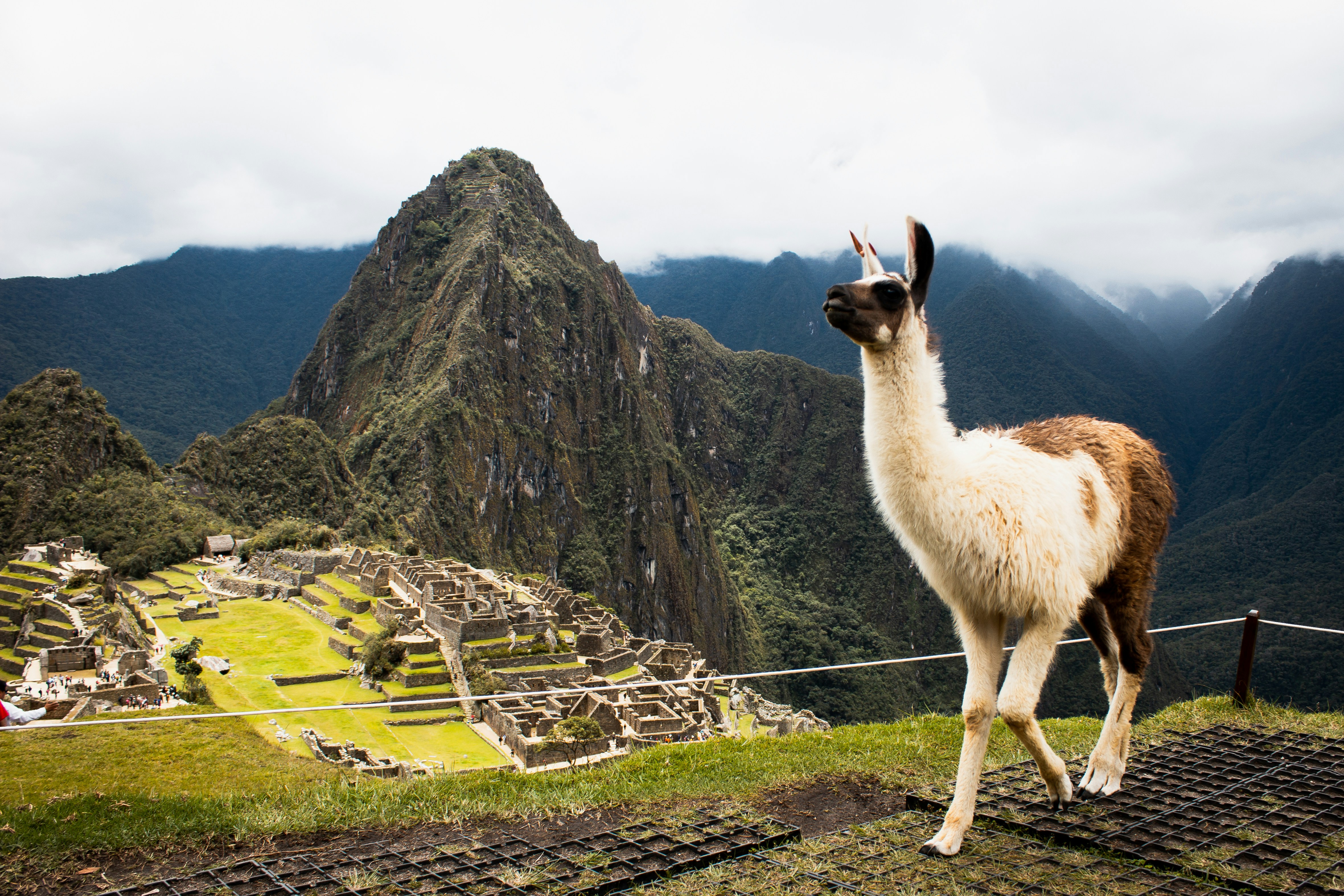 Peru Experience 2027