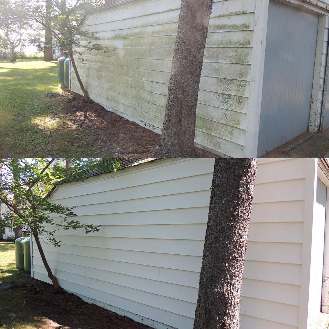 Siding Cleaning, Municipality of Essex, ON