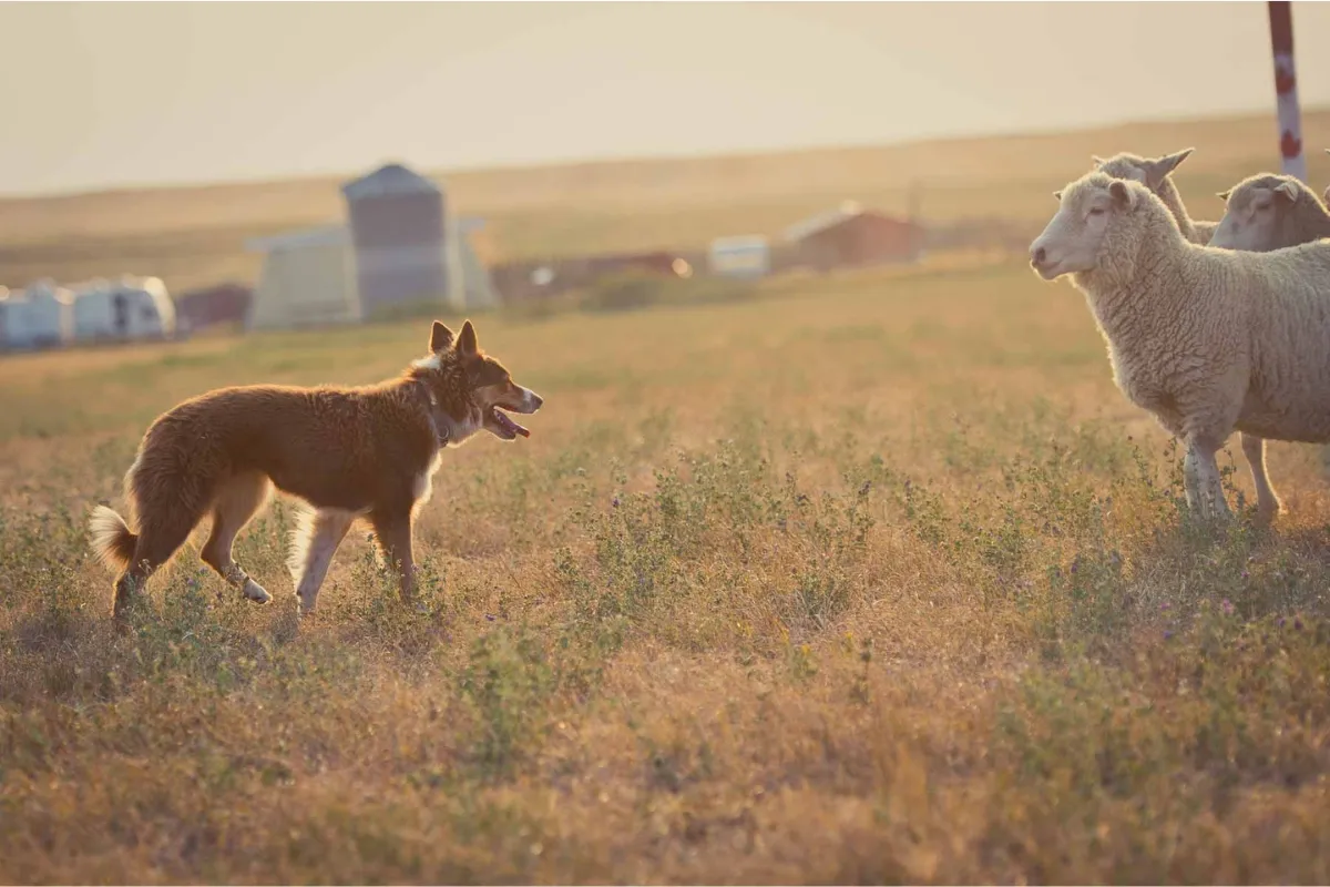 The art of understanding when to grip