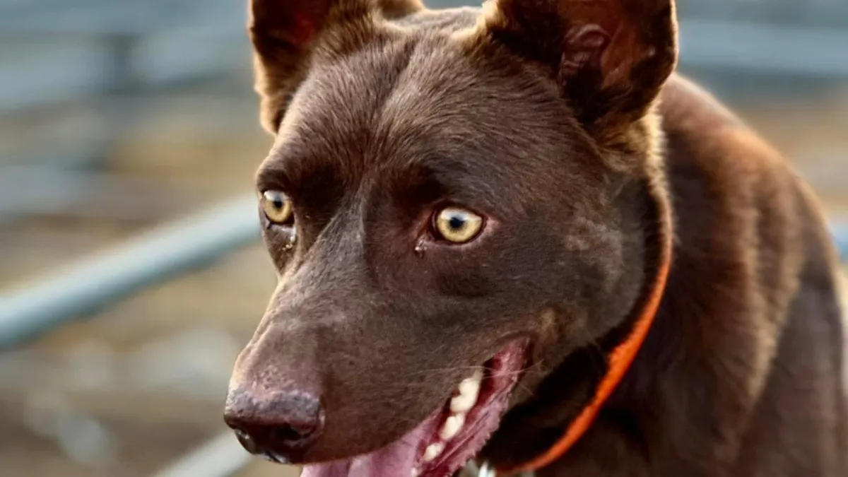 Managing the Pressure: Building Trust in Tight Quarters