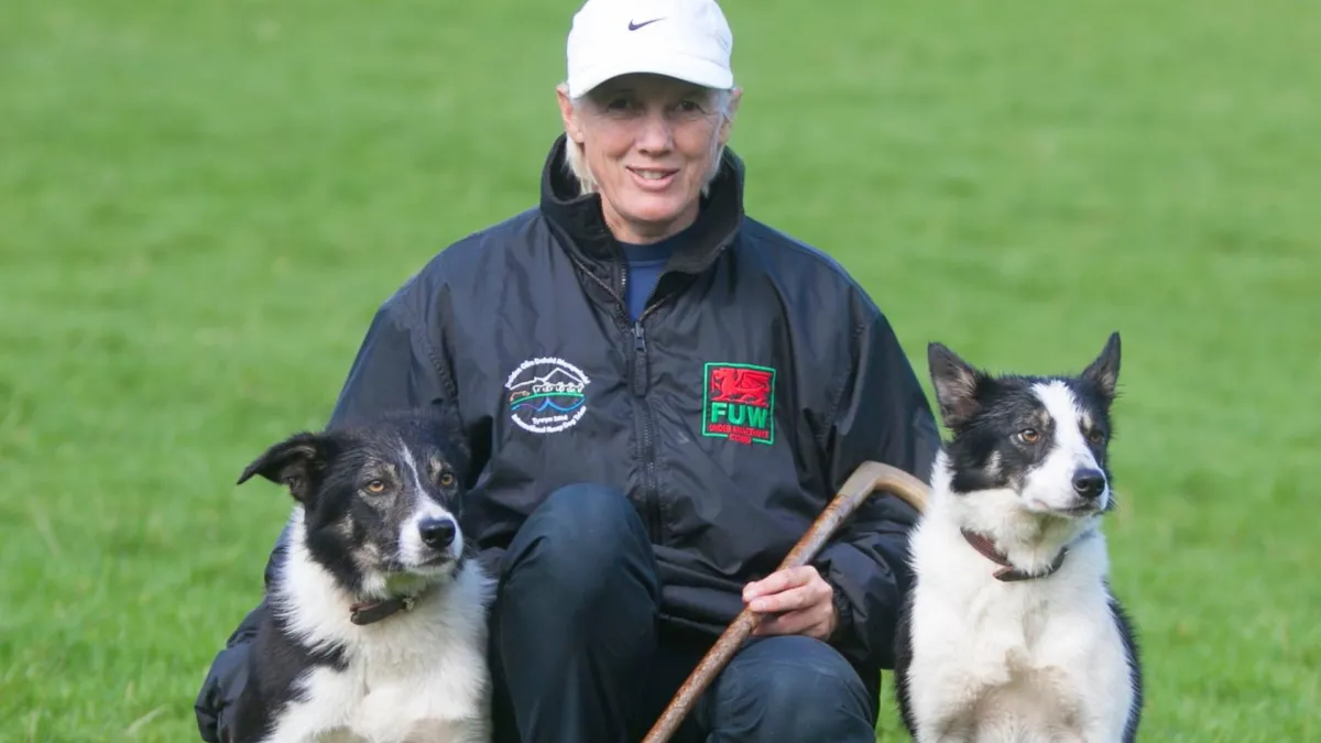 Want to get inspired to train?  Watch this finals run of Welsh handler, Angie Driscoll