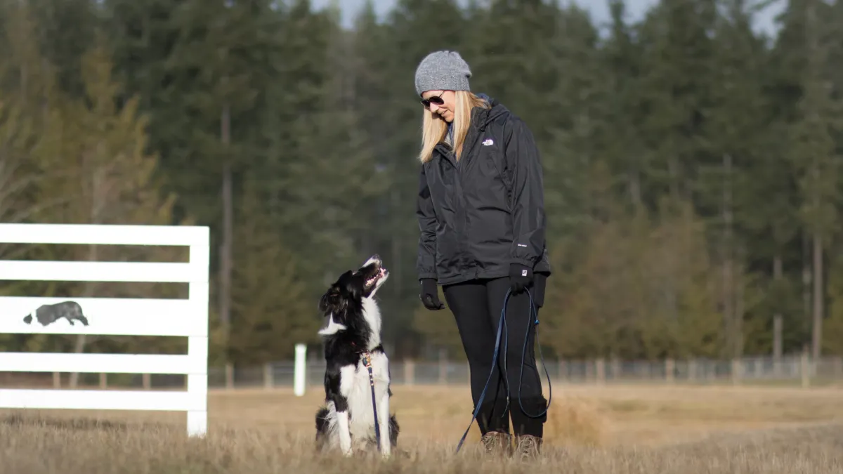 Embracing the Journey: An experience as a new handler with Doug the stock dog.