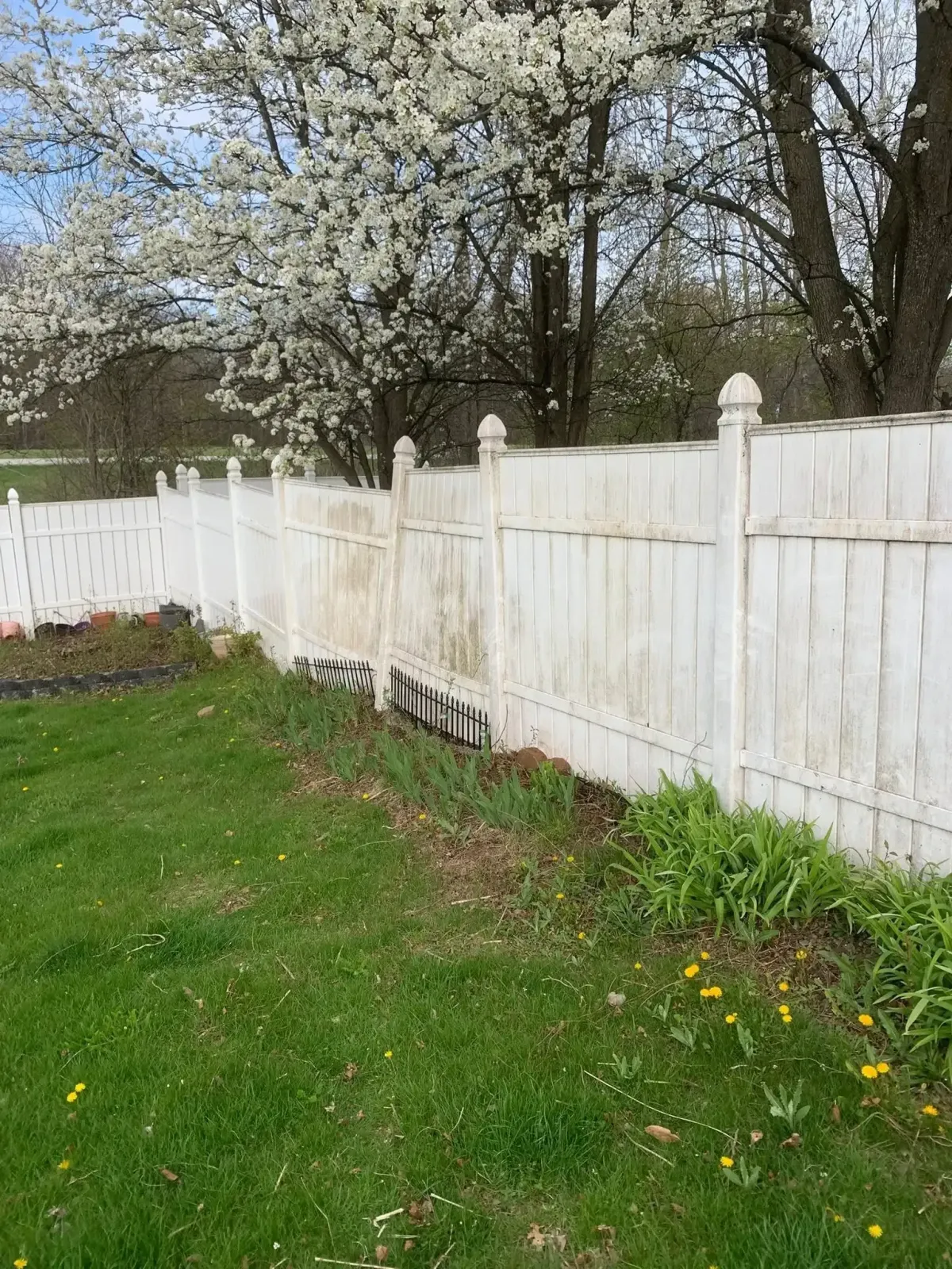 A white picket fence runs along a backyard, looking slanted, dirty, worn, and dusty.
