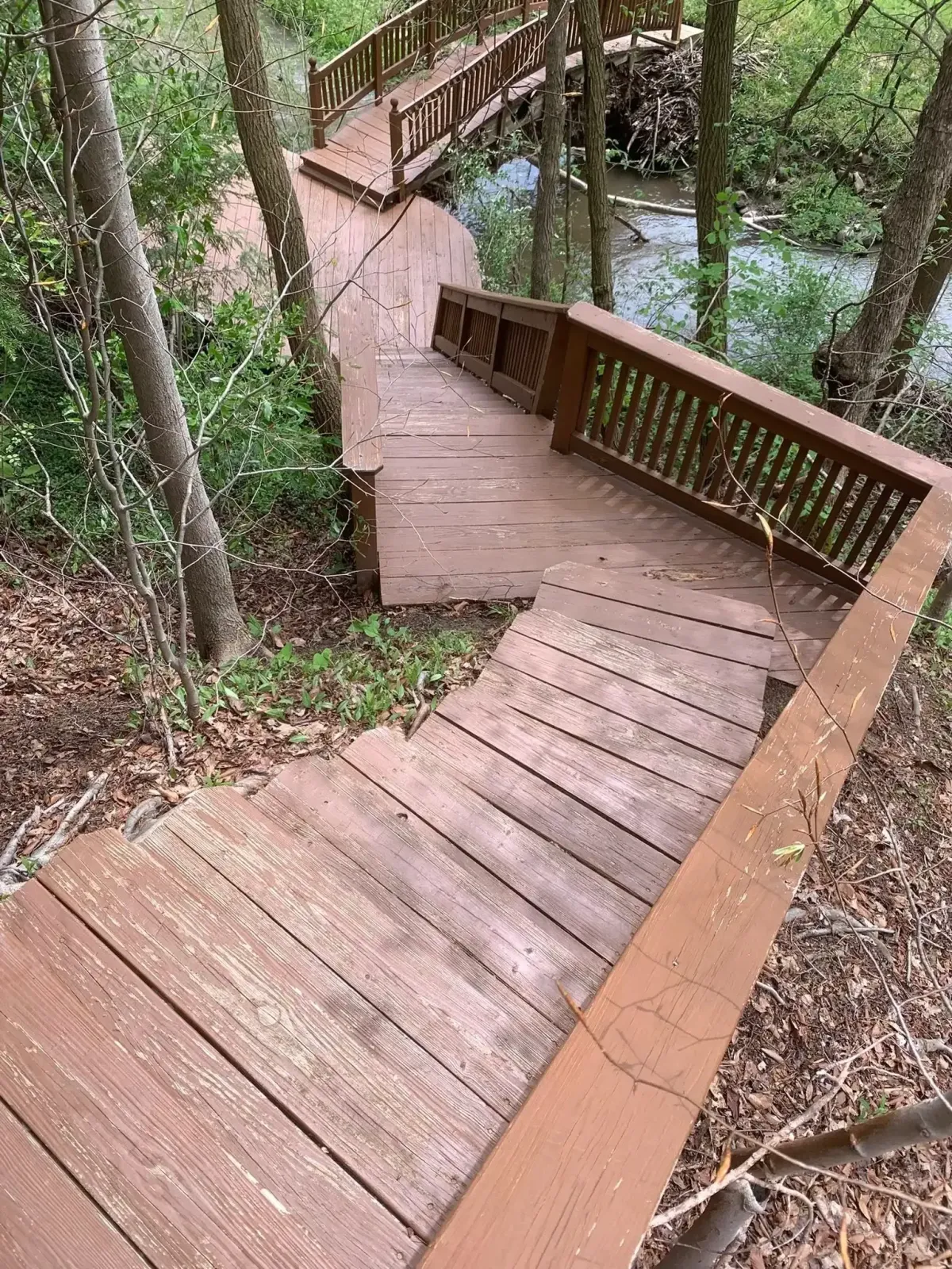 The same walkway looks brand new, free of leaves, and much brighter.