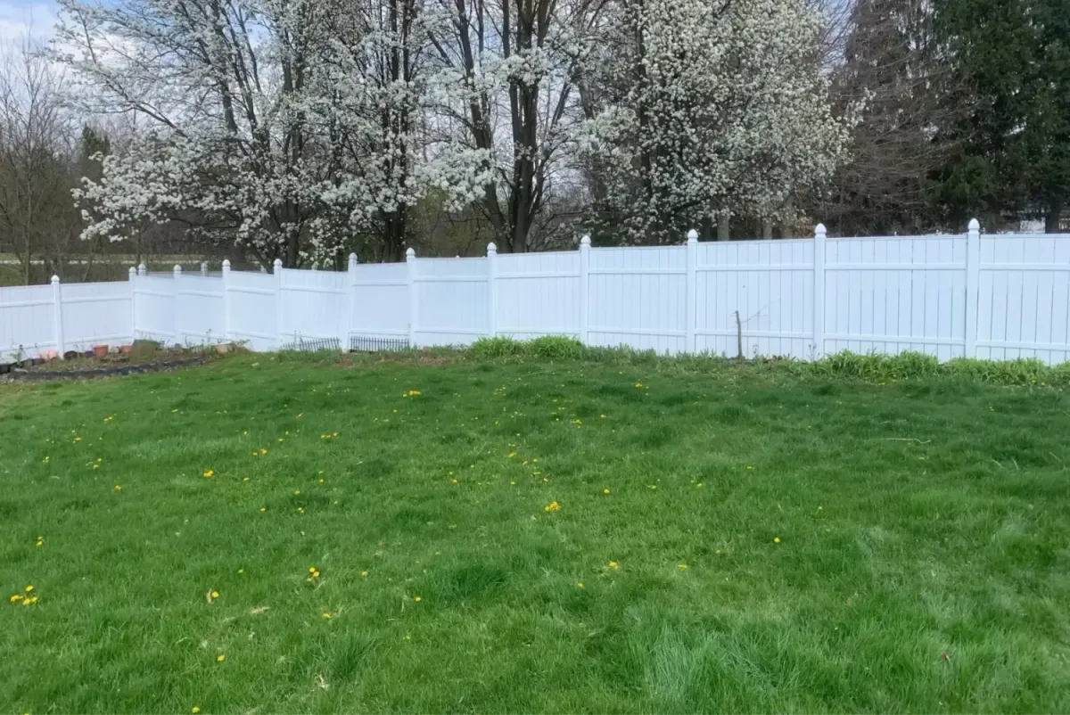 The same white picket fence, shines brilliantly and is now dust-free.