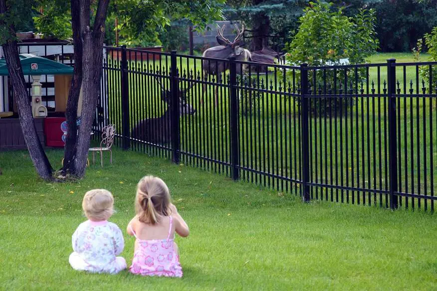 metal fence installation naples fl