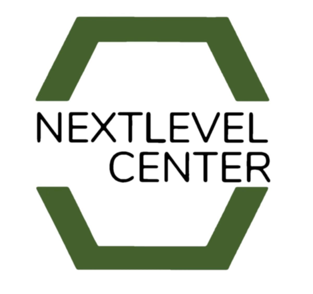 Next Level Center Logo