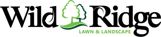 Wild Ridge header logo