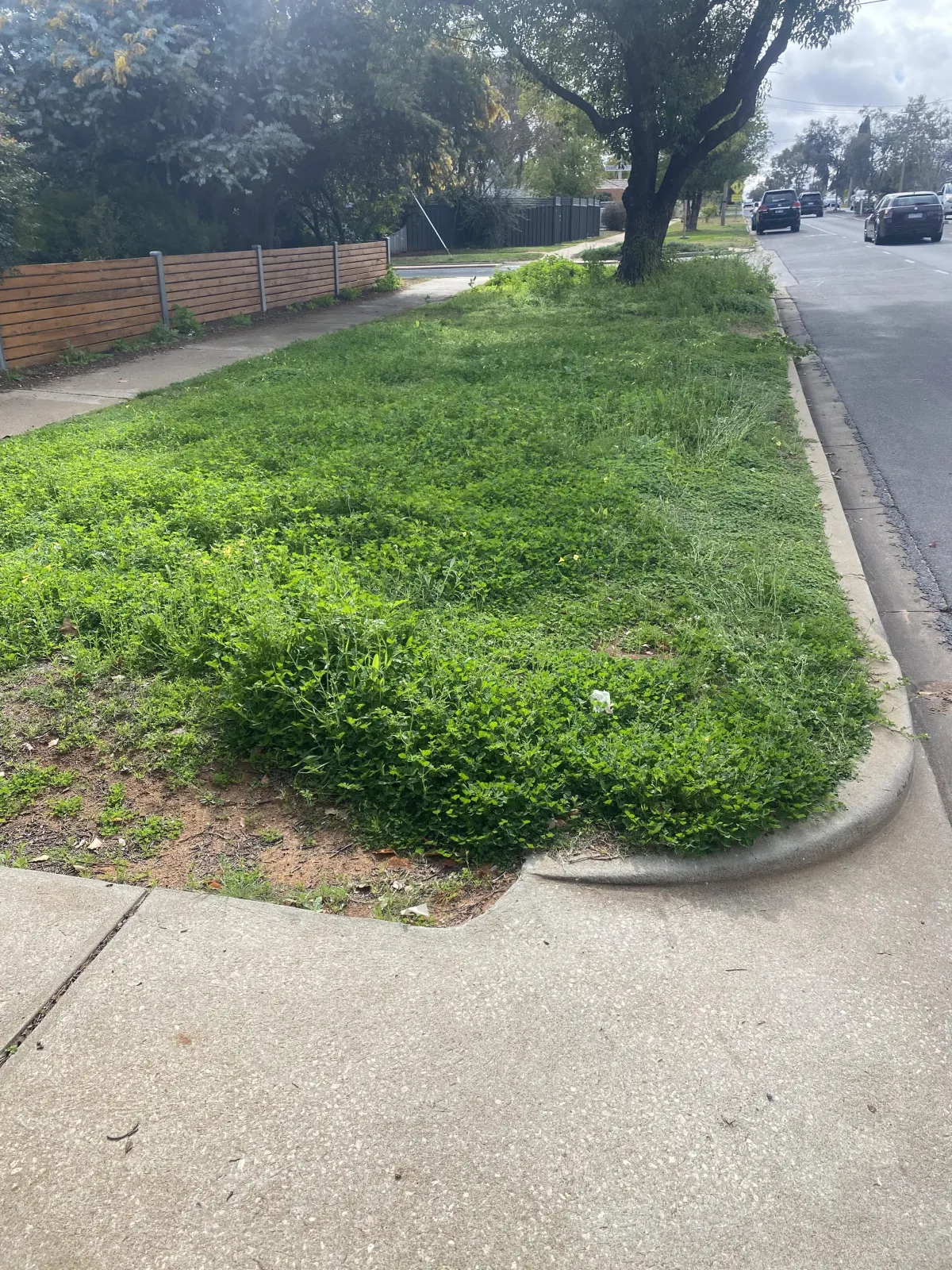 Property Maintenance Ellenbrook