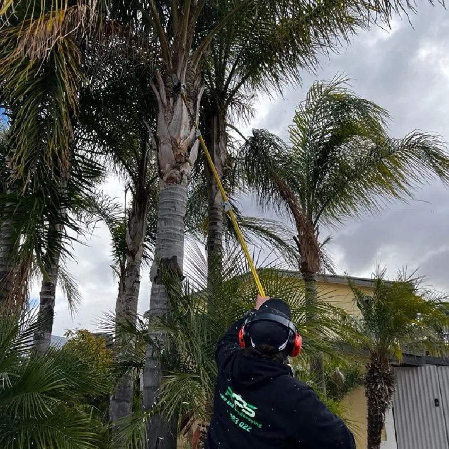 yard cleaning services ellenbrook