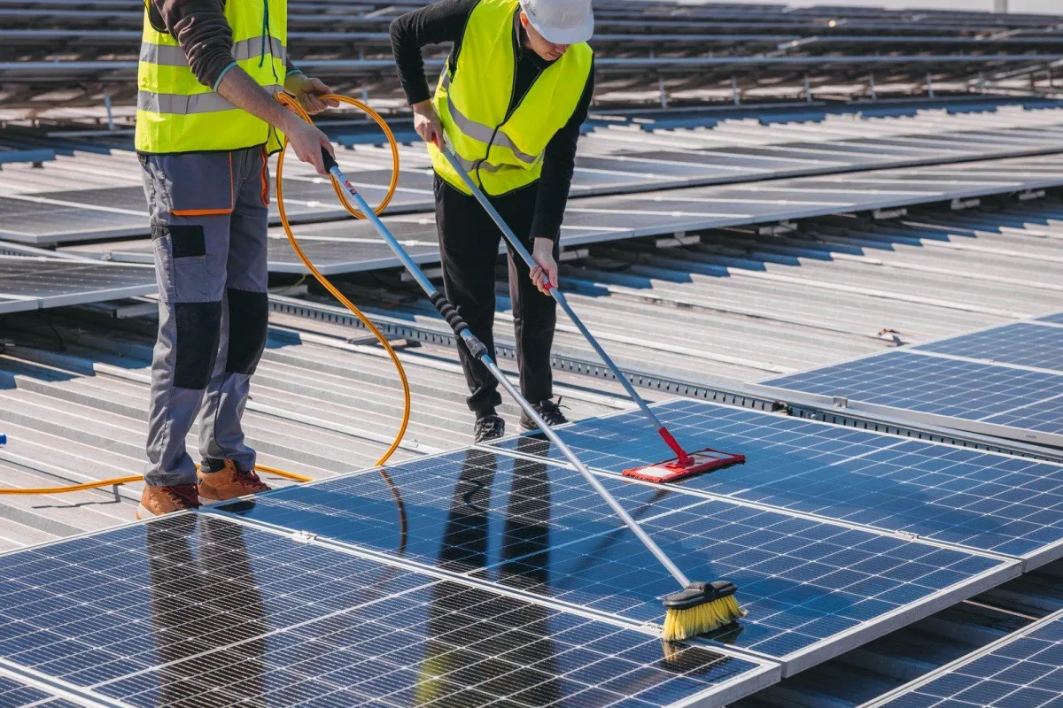 Team members cleaning solar panels