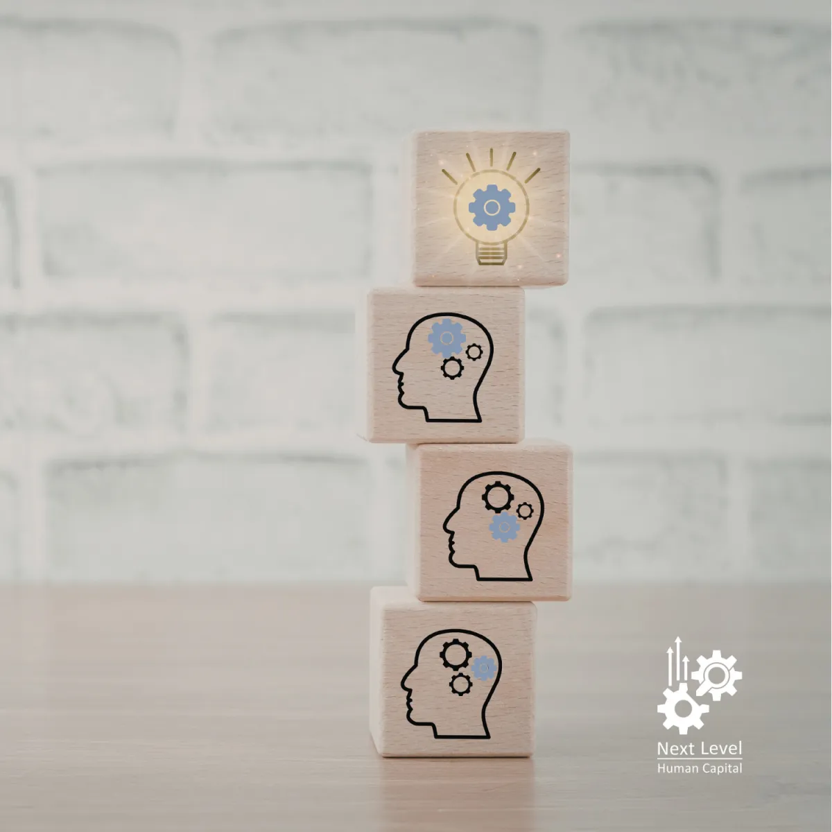 Entrepreneur Goal Alignment | Tim Schumer- Next Level Human Capital