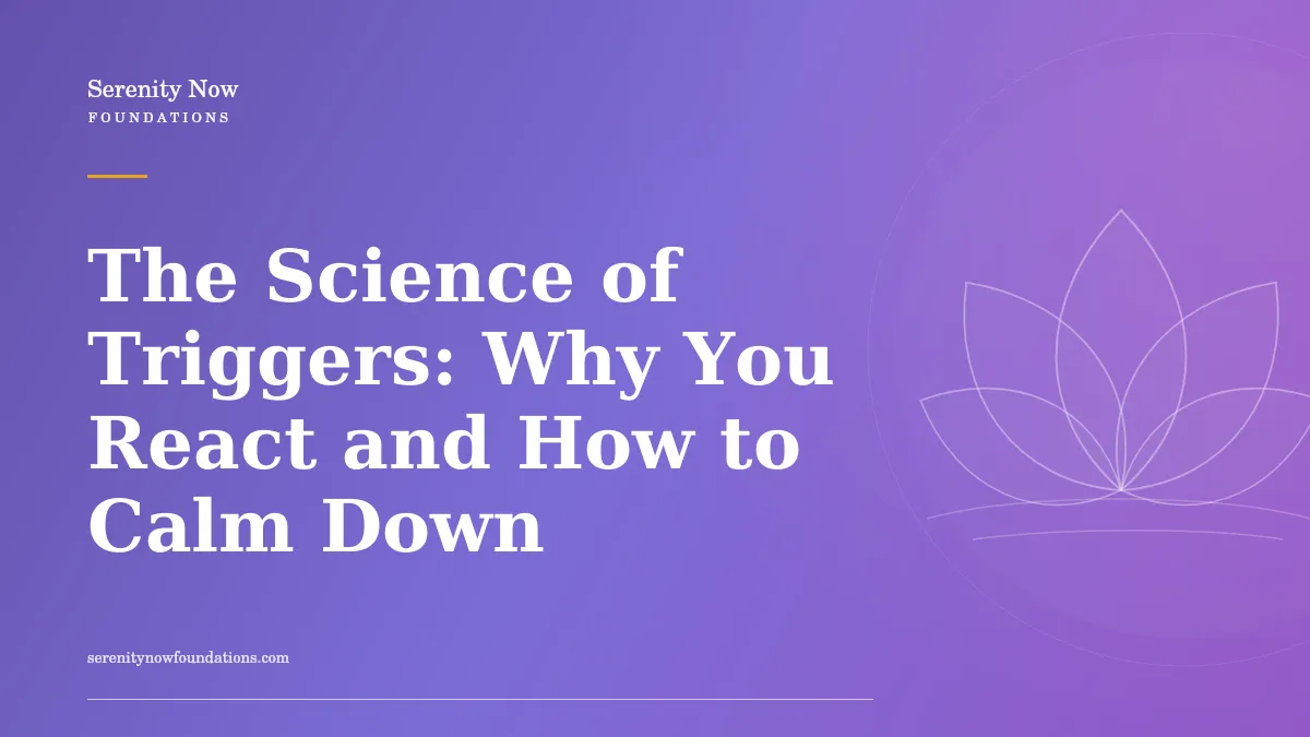 The Science of Triggers: Why You React and How to Calm Down