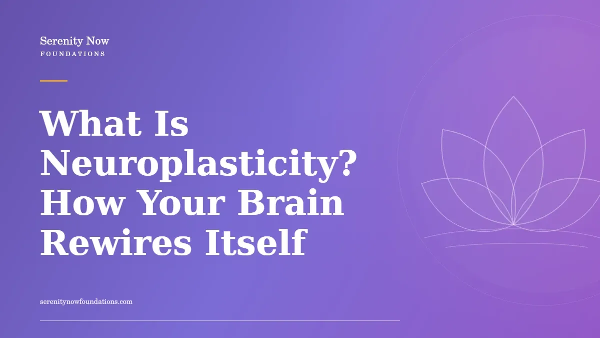 What Is Neuroplasticity? How Your Brain Rewires Itself