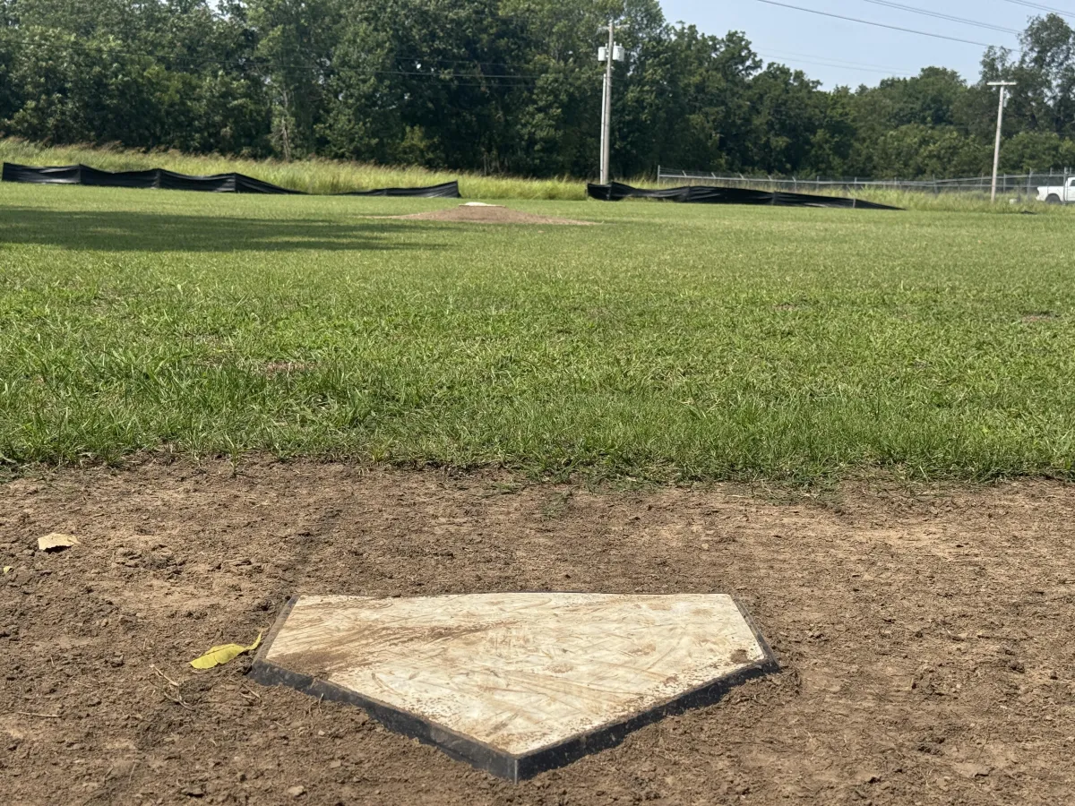 green and brown field under blue sky during daytime