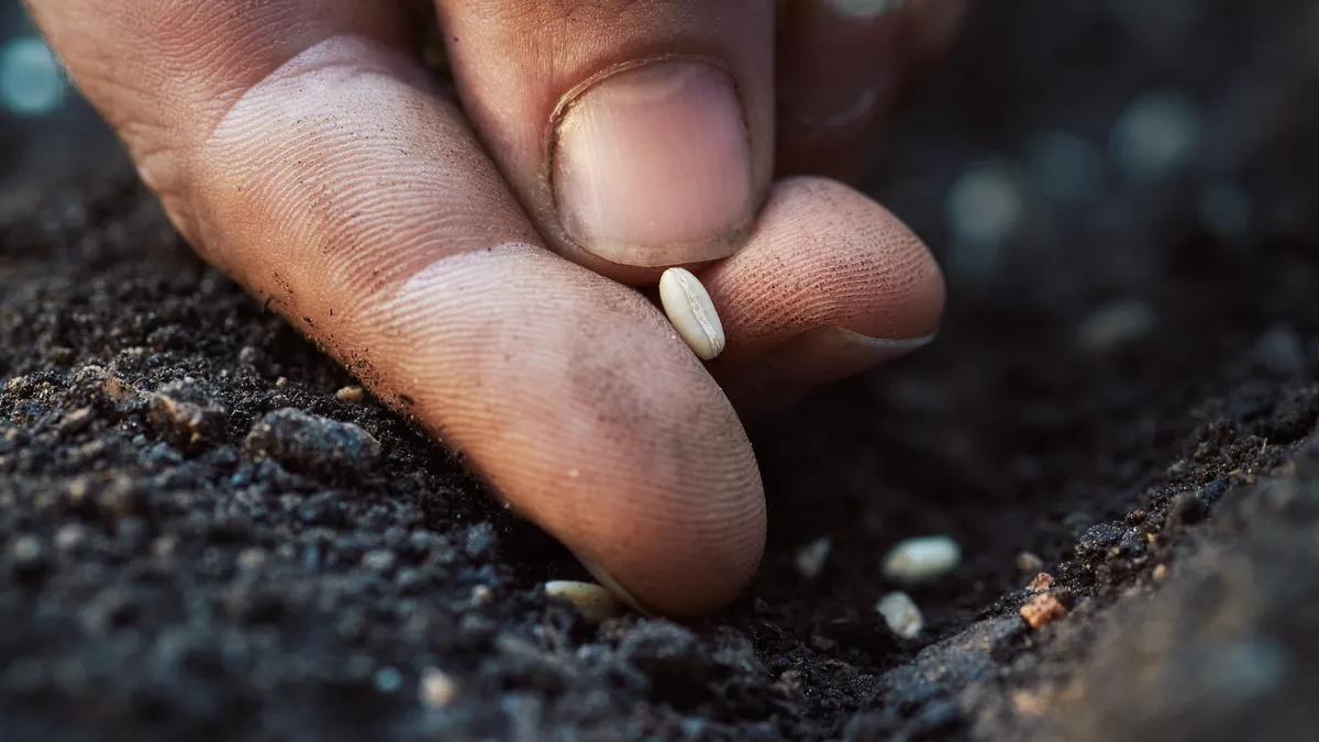 Every Promise Is a Seed