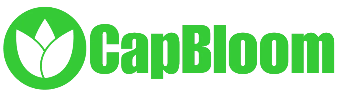 CapBloom Solutions for Capital Raising Real Estate Investors