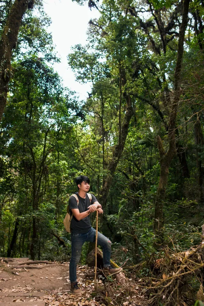 Young man with a backpack and walking stick standing on a forest trail surrounded by lush tropical vegetation, moss-covered trees, and filtered sunlight.