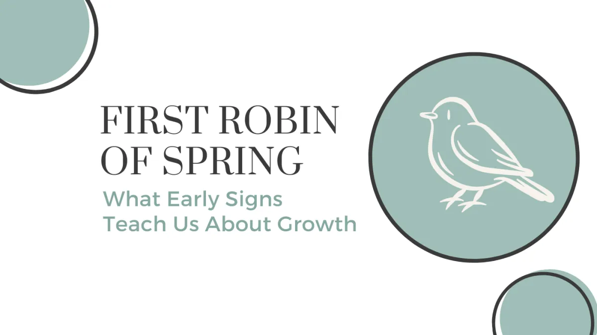 first robin of spring