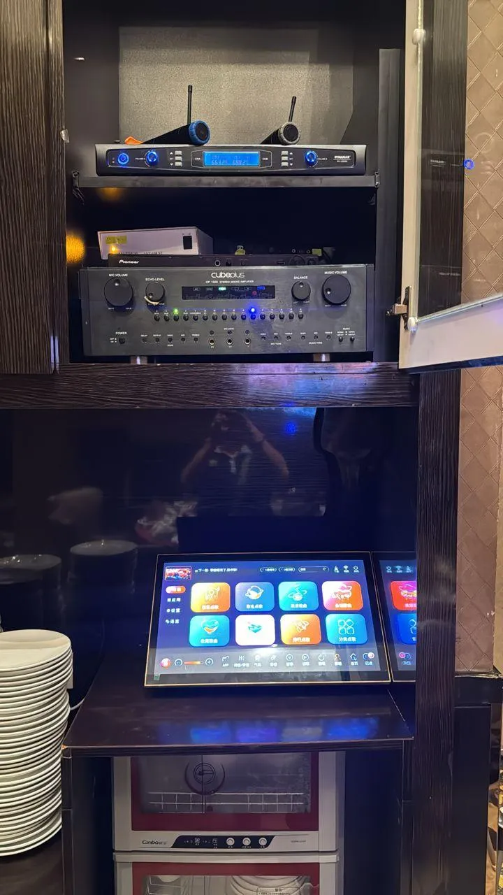 black corded headphones