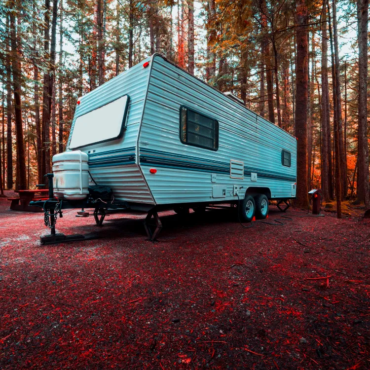 Travel trailer in the woods