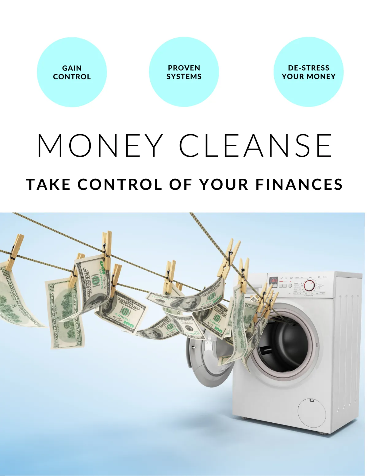 the money cleanse