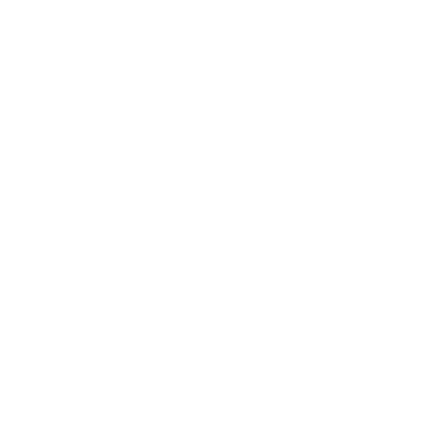 Holistic Solutions