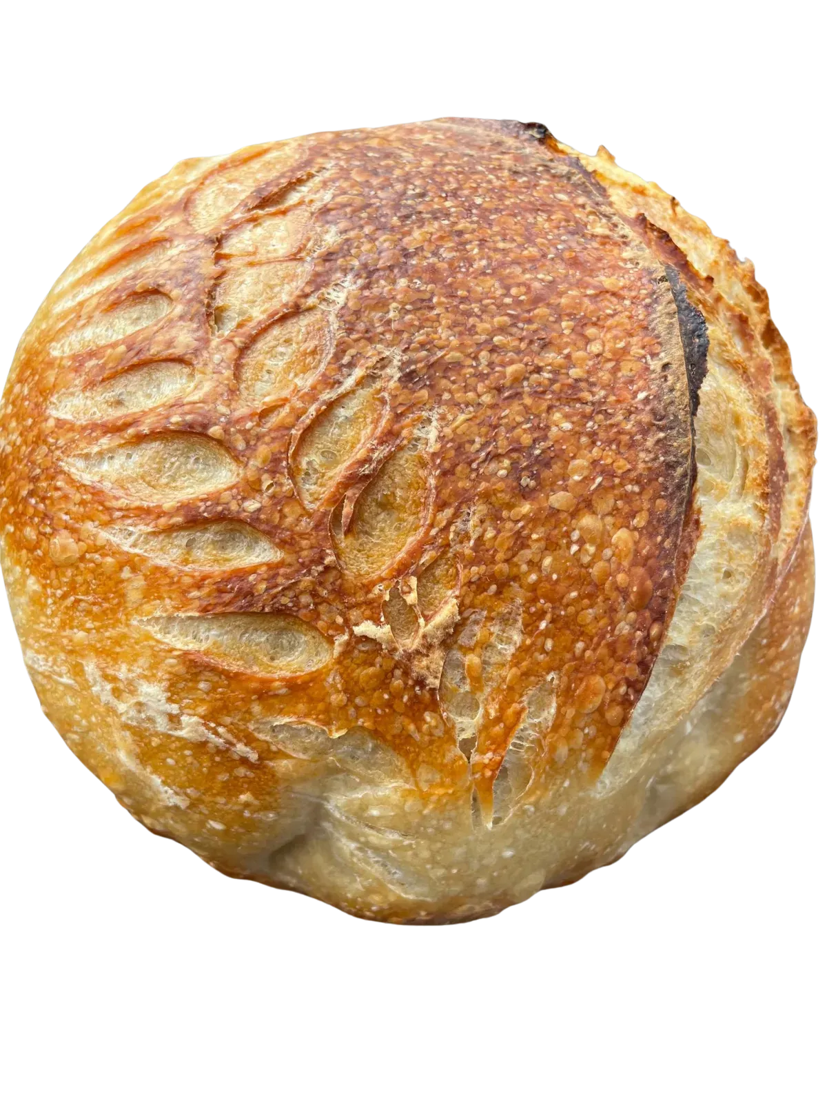 Artisan sourdough loaf with crisp crust and warm natural lighting.