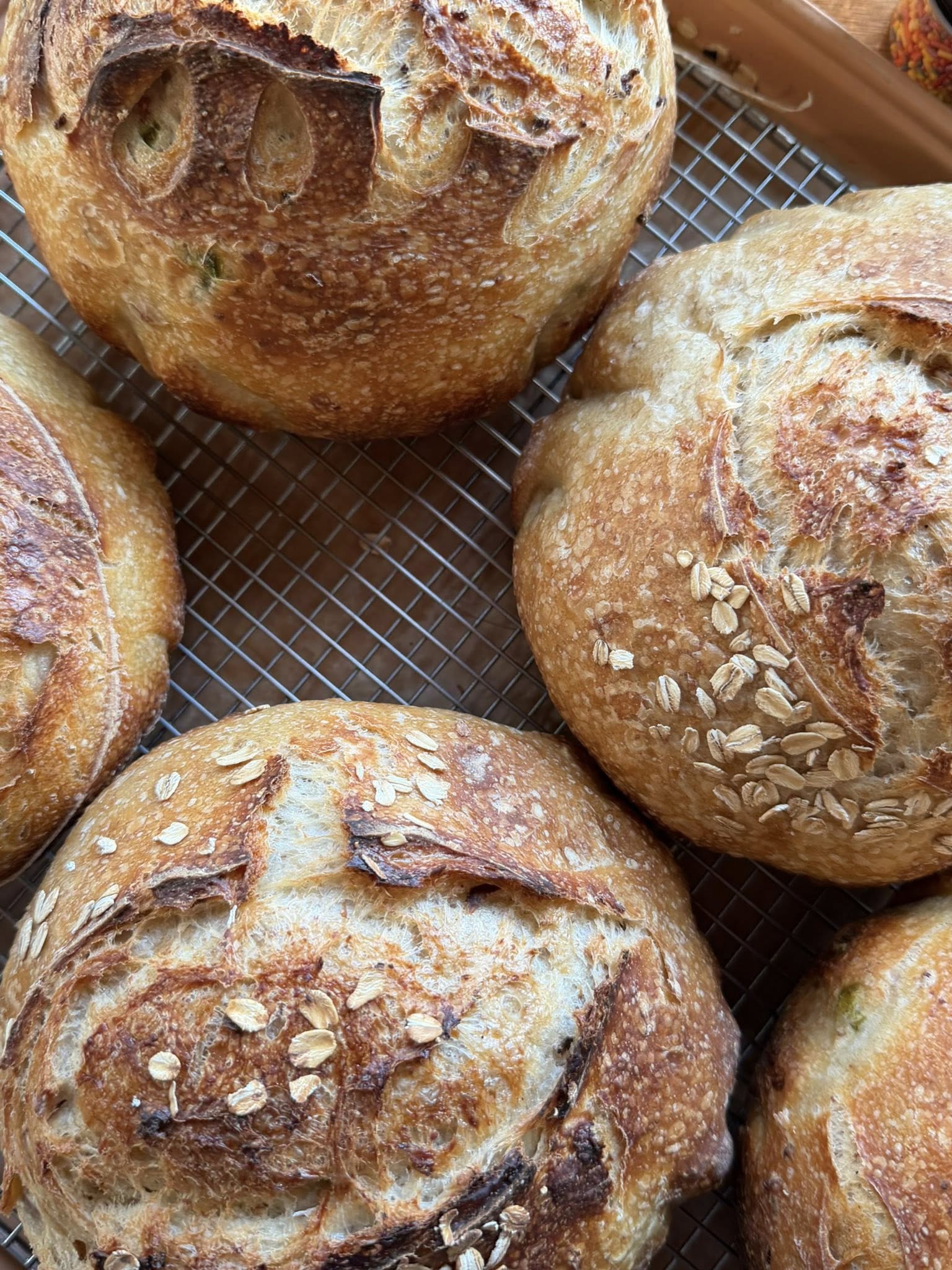 Square tile of a baker’s hands shaping dough, warm tones and close crop.