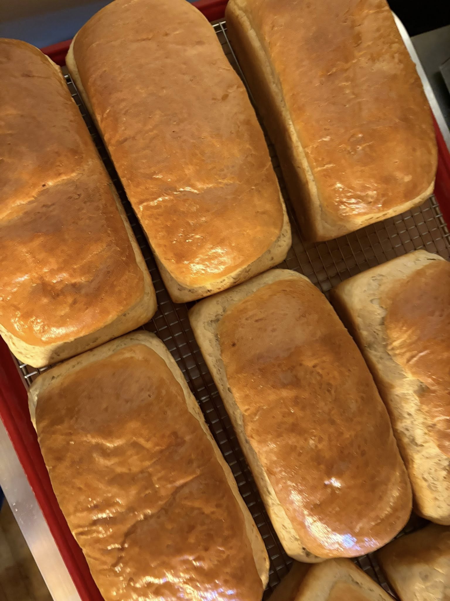 Square image of a cozy shop window with assorted pastries on display.