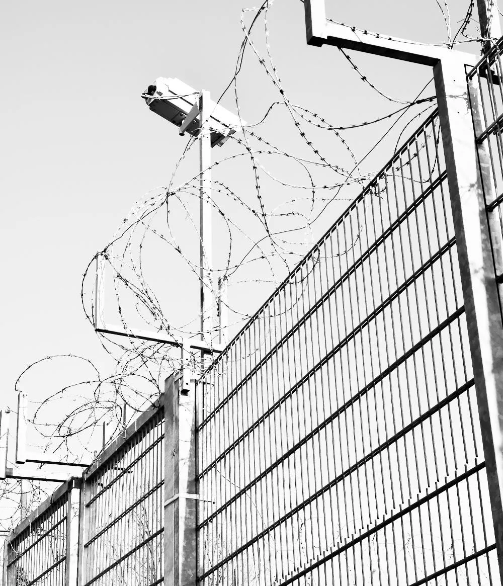 Immigration detainee information