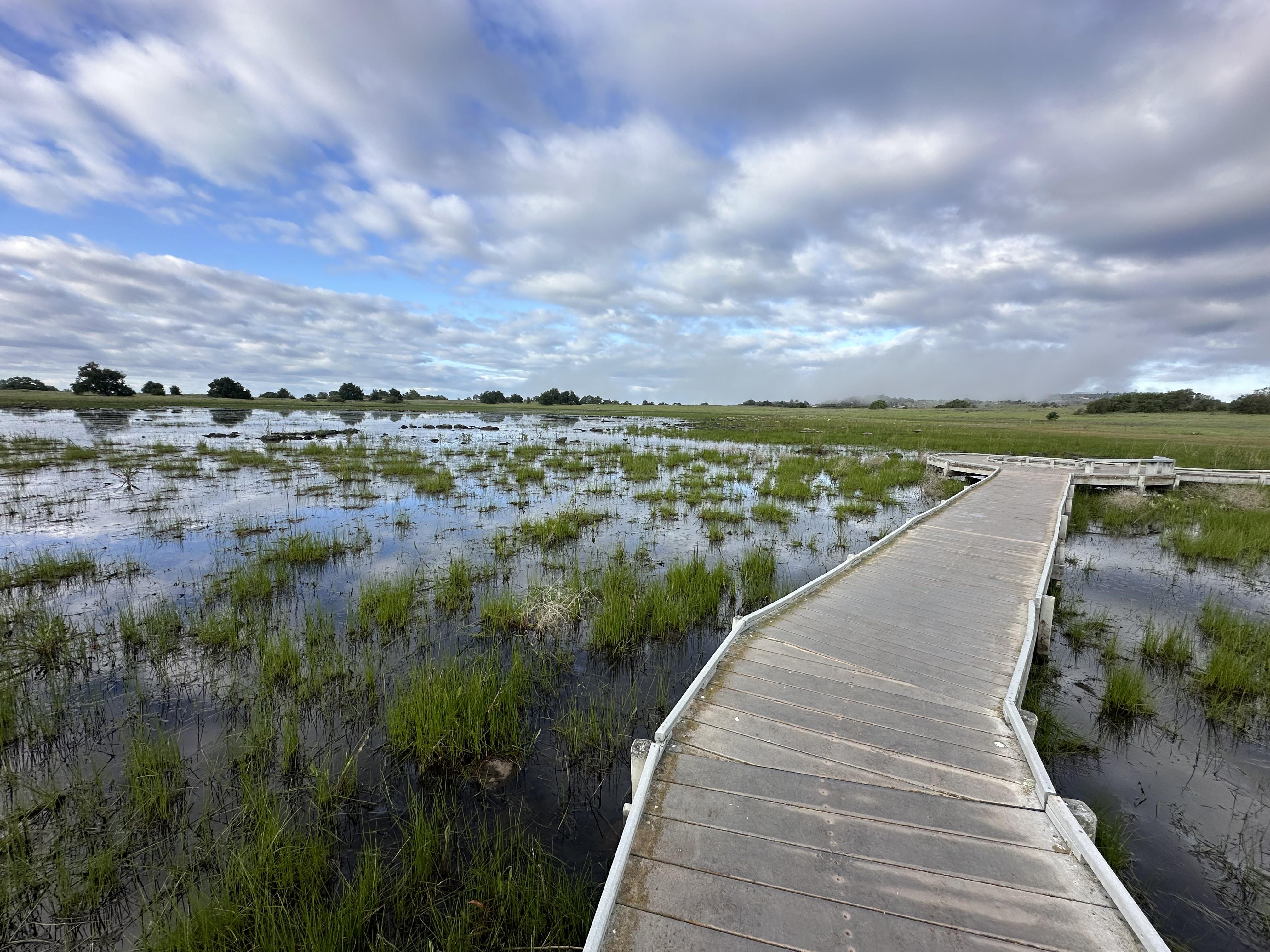 Discover the Natural Beauty of Santa Rosa Plateau Ecological Reserve – California 🌿🏞️