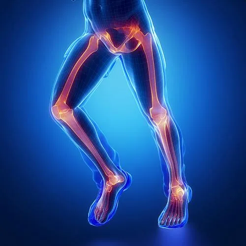 Illustration of the lower body skeletal system, emphasizing focus areas for hip, knee, ankle, and foot pain treatment.